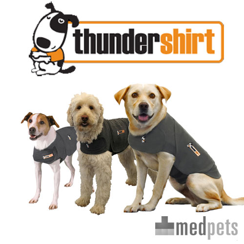 thundershirt hond